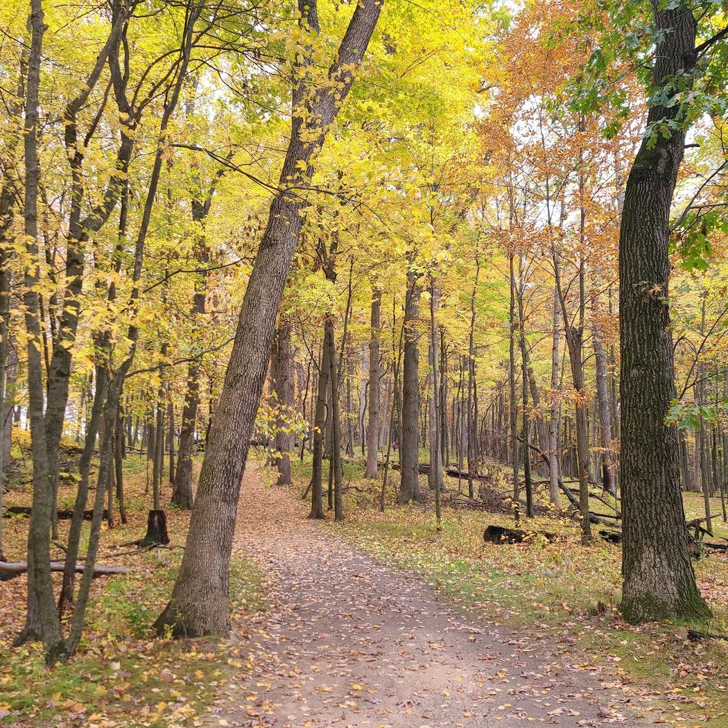 Huron Meadows Metropark 3